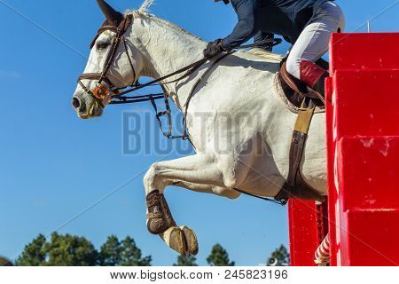 Show Jumping Horse Rider Closeup Action