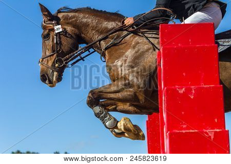 Show Jumping Horse Rider Closeup Action