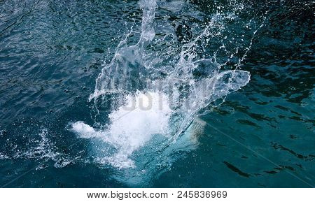 Water Splash Image, Summer Theme,