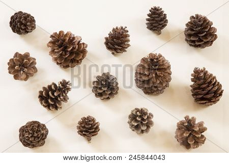 The Group Of Pine Cones On Beige Background