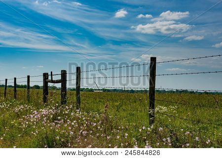 Country Background Of A Six-strand Barbed Wire Fence With Wildflowers And Beautiful Blue Sky And Clo