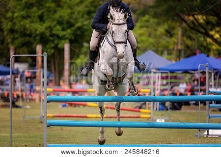 Horse And Rider Competing In Show Jumping In The Ring At A Country Show