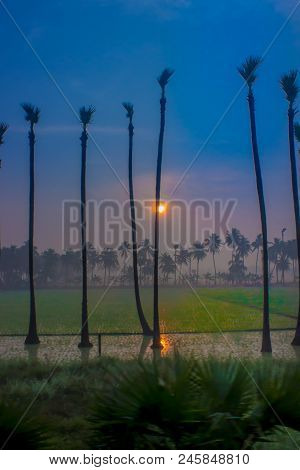A Beautiful Sunrise Seen Between The Palm Trees And Reflection On Water