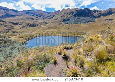 Lakes And Mountains In The Cajas Park Cuenca Ecuador