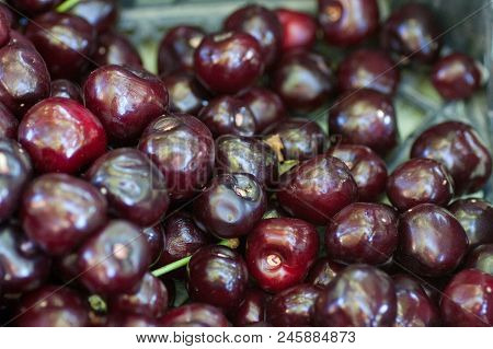 Set Of Ripe Dark Red Bird-cherry Background