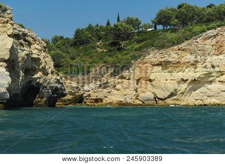 View Of The Mountains From The Sea, Green Trees