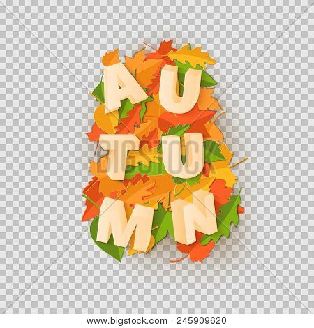 Word Autumn Composition With Green Yellow Red Leaves With Shadow In Paper Cut Style. Fall Craft Leaf