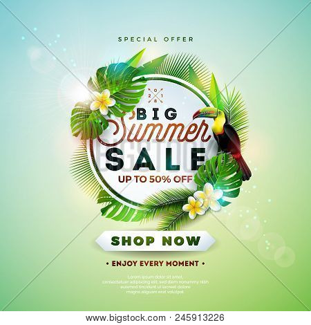 Summer Sale Design With Flower, Toucan And Exotic Leaves On Nature Green Background. Tropical Floral