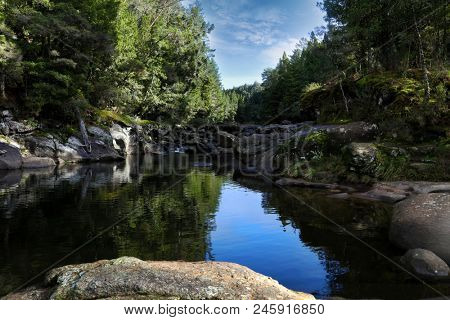 McLaren falls park, Tauranga, North Island, New Zealand