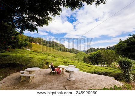 Cameron Highlands Bharat Tea Plantation