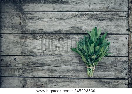 Salvia Officinalis. Sage Leaves On Old Wooden Table. Garden Sage. Rustic Wooden Box And Handmade Lac