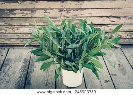 Salvia Officinalis. Sage Leaves On Old Wooden Table. Garden Sage. Rustic Enameled Mug. Retro Magazin