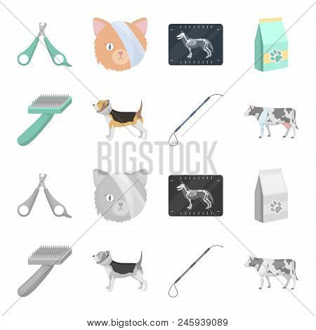 Dog, Cow, Cattle, Pet .vet Clinic Set Collection Icons In Cartoon, Monochrome Style Vector Symbol St