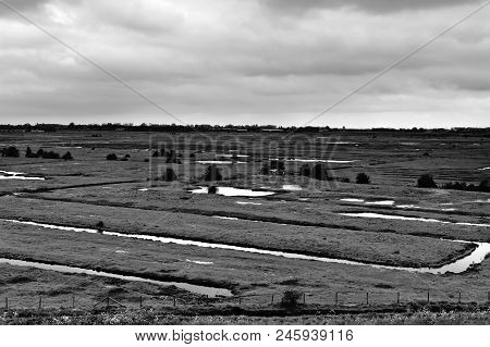 Agriculture On Land Reclaimed From The See In Netherlands. Tidal Marsh And Meadows Formed By Dams In