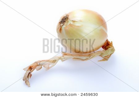 ผัก หอมใหญ่