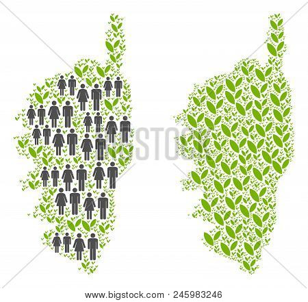 People Population And Eco Corsica France Island Map. Vector Abstraction Of Corsica France Island Map
