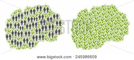 People Population And Eco Makedonia Map. Vector Concept Of Makedonia Map Composed Of Randomized Huma