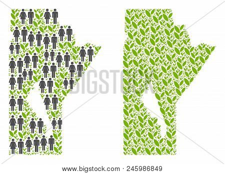 People Population And Grass Manitoba Province Map. Vector Composition Of Manitoba Province Map Desig