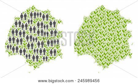 People Population And Grass Thassos Greek Island Map. Vector Concept Of Thassos Greek Island Map Com
