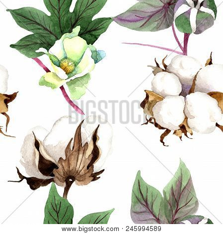 Soft Cotton. Floral Botanical Flower. Seamless Background Pattern. Fabric Wallpaper Print Texture. A