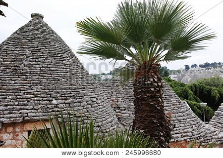 Unique Small South Italia City Alberobello With Antient Stones Conical Houses Trullo, Tourist Destin