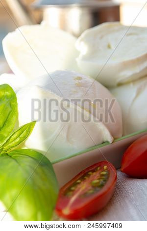 Fresh Soft Italian White Cheese Mozzarella Buffalo, Original From Campania, Paestrum And Foggia Regi
