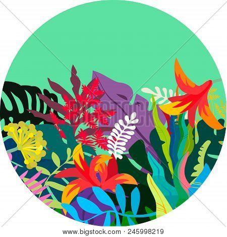 Illustration Of A Round Tropical Background With Tropical Forest