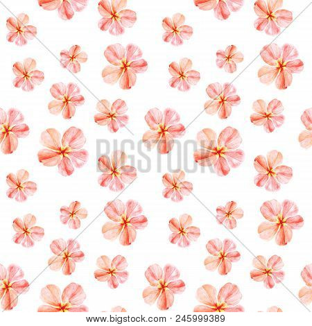 Handpainted Watercolor Seamless Pattern With Yellow And Red Mallow Flowers Abutilon On White Backgro