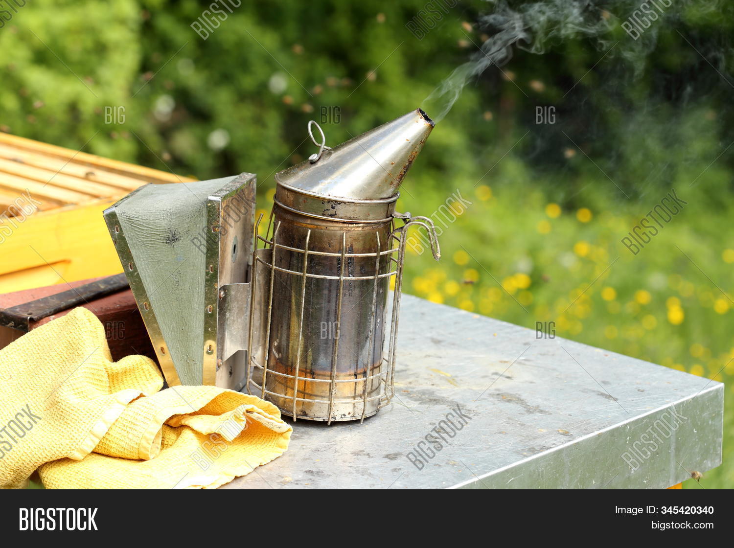 Smoking Pipe On Bee Image & Photo (Free Trial) Bigstock
