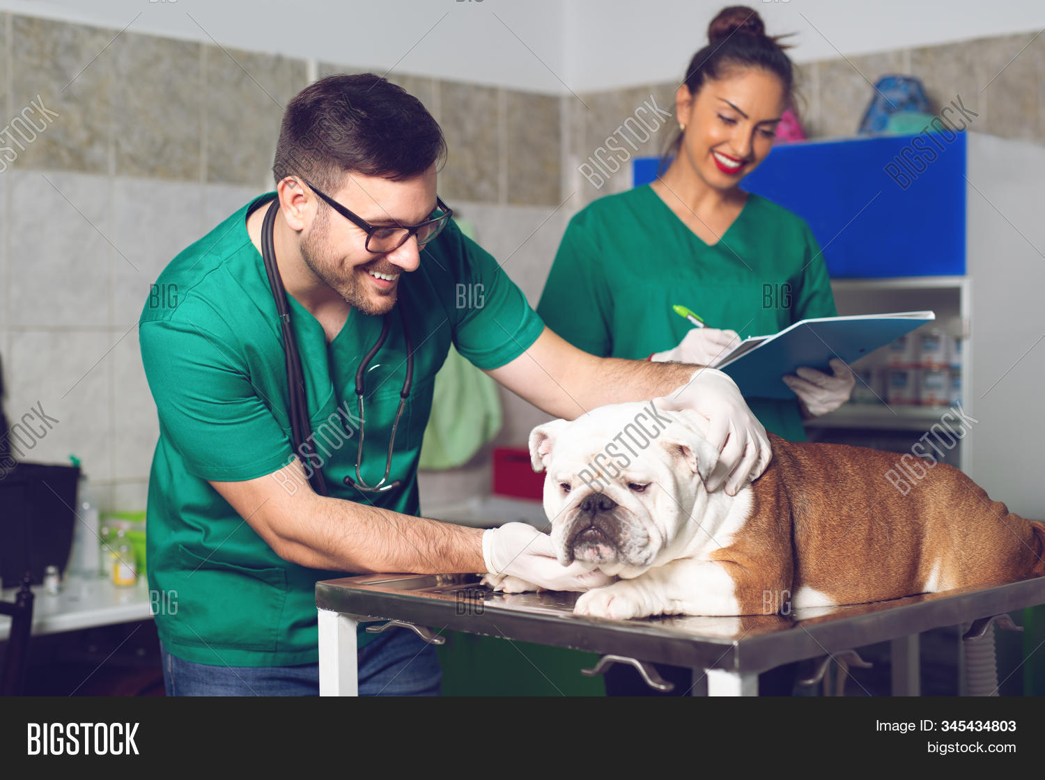 Veterinarian Assistant Image & Photo (Free Trial) Bigstock