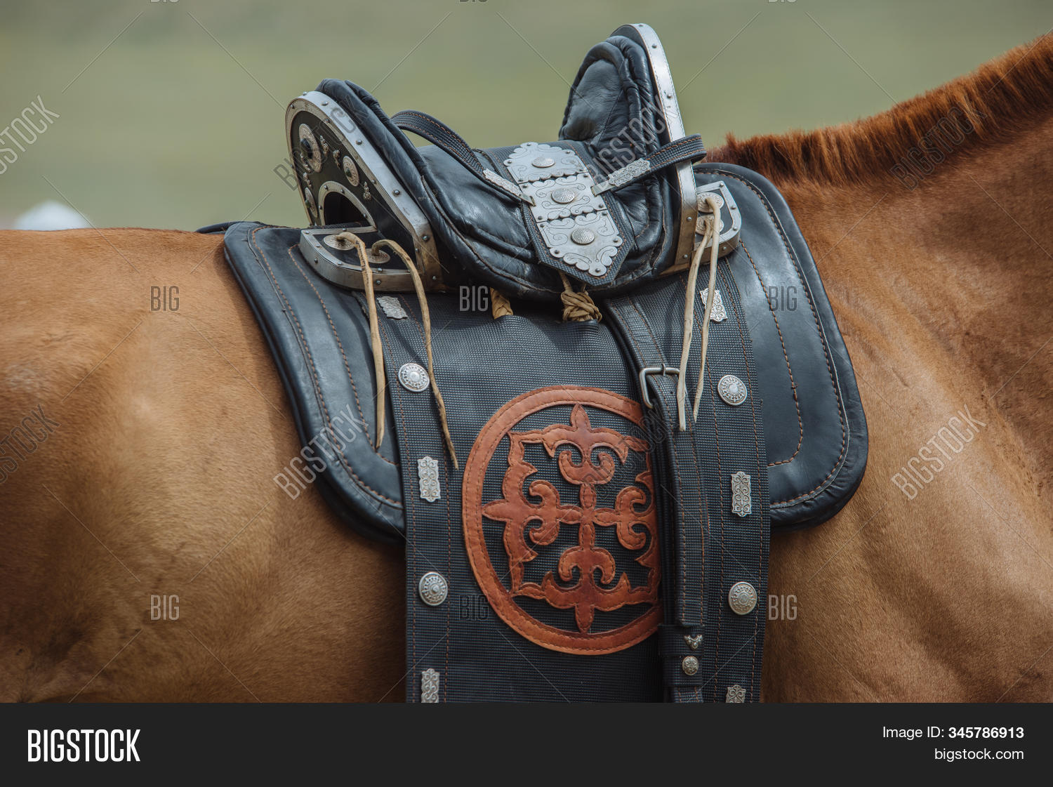 Saddle Ornament Horse Image & Photo (Free Trial) Bigstock