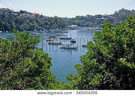 Cremorne Point To Mosman Bay Coastal Walk, Sydney, Australia