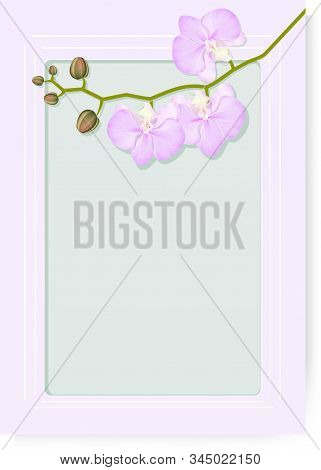 Pink Vertical Template With Transparent Green Background, Place For Text And Realistic Branch Of Pin