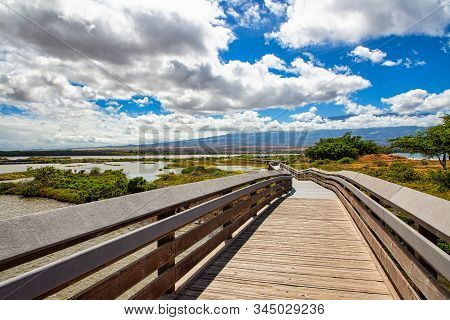 On The Kealia Coastal Boardwalk Looking Across The Kealia Pond National Wildlife Refuge Towards Up C