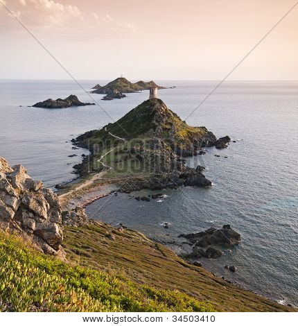 Isola di sanguinarie