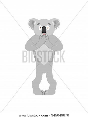 Koala Scared. Koala Bear Frightened. Beast Afraid. Vector Illustration