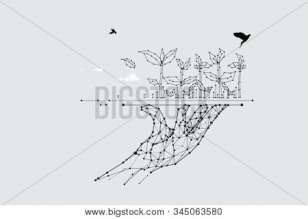 The Particles, Geometric Art, Line And Dot Of Plant.
Abstract Vector Illustration. Graphic Design Co