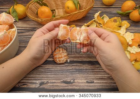 The Girls Hands Are Cleaning Tangerine, Tangerines On A Twig With Green Leaves, Peeled Tangerines In