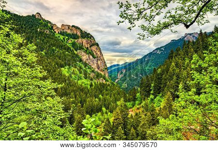 View Of Sumela Monastery At Mela Mountain In Turkey