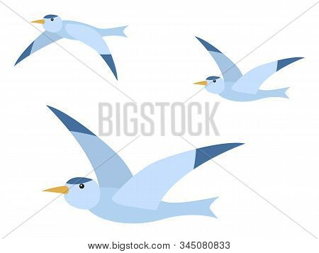 Arctic Seagull Characters Set Isolated On White. Polar Element Of Fauna With Wild Flying Bird In Fla