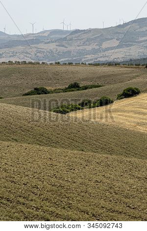 Rural Landscape Near Montalbano Jonico, Matera, Basilicata, Italy, At Summer.