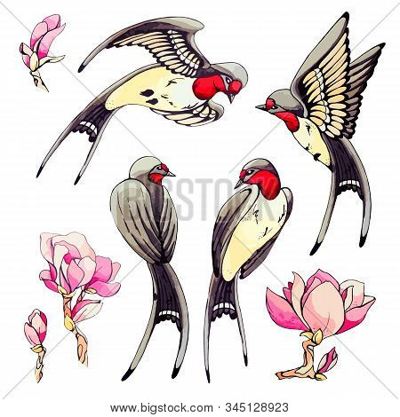 Vector Stock Illustration Of Spring Festival Set Element Summer Pink Blossom Flower, Branches. Colle
