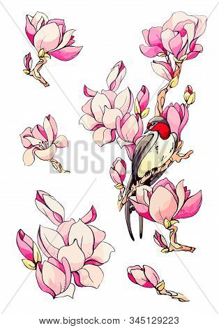 Design Hand Drawn Set Element Of Spring Festival, Summer Pink Flower, Branches, Swallow. Collection 