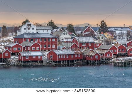 Houses With Dramatic Sunset In Background In Lofoten, Norway. Amazing Landscapea With A Lot Of Gulls