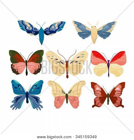 Beautiful Bright And Colorful Butterflys In Trendy Color 2020.