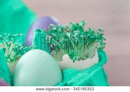 Decorative Handmade Easter Egg Present Box With Eggs And Cress. Beautiful Decoration Easternest Bask