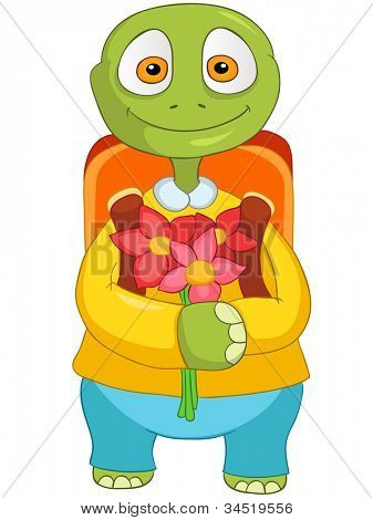 Sjove skildpadde