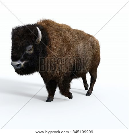 American Bison Male 3d Illustration - The American Bull Bison Is A Herbivore That Is A Megafauna Spe