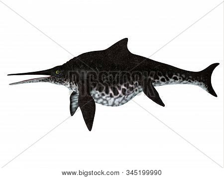 Shonisaurus Ichthyosaur Side Profile 3d Illustration - Shonisaurus Popularis Was An Ichthyosaur That