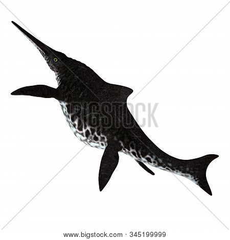 Shonisaurus Ichthyosaur Tail 3d Illustration - Shonisaurus Popularis Was An Ichthyosaur That Lived I